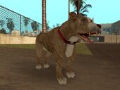 Champ and Dogs from Postal 2
